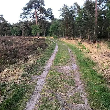 Wildenborcherhof *